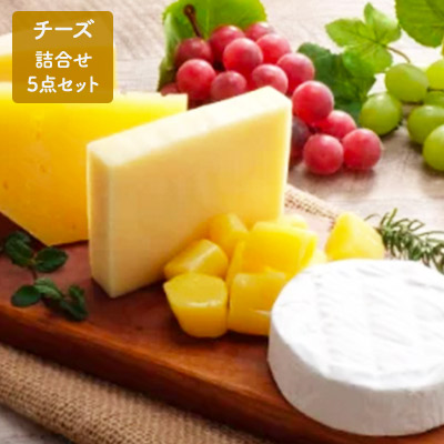北海道足寄町 ふるさと納税 あしょろチーズ工房 チーズ詰合せ5点セット 2021年9月出荷開始 お届け：2021年9月より順次出荷開始 チーズ 高品質新品 上質 加工食品 乳製品 セット