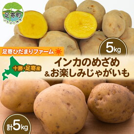 【ふるさと納税】2種のじゃがいも10kgセット（インカのめざめ5kg・品種おまかせ5kg）【2024年9月中旬出荷】【北海道十勝 足寄ひだまりファーム】　【0】　お届け：2024年9月中旬～11月下旬まで