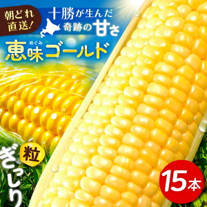 yӂ邳Ɣ[Łz ys\zkC ǂ Ƃ낱 15{ bS[h y8{ȍ~z/}_ [BEAA004]