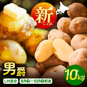 yӂ邳Ɣ[Łz kCY Ⴊ j 10kg LM /}_ [BEAA006]