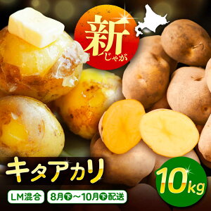yӂ邳Ɣ[Łz kCY Ⴊ  10kg LM /}_ [BEAA007]