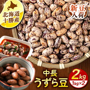 yӂ邳Ɣ[ŁzyR7NxYV tzkC 瓤 1kg × 2 /}_ [BEAA022]