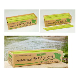 【ふるさと納税】【先行予約】北海道足寄町産 生ラワンぶき 5kg　【6月上旬以降発送】足寄町/足寄町農業協同組合 [BEAB012]