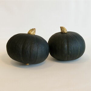 yӂ邳Ɣ[Łzys\zkC ڂ _[Nz[X 2 y9{ȍ~z/AOoCI J{` Z kCY Y Y Hה Zbg { VN Yn