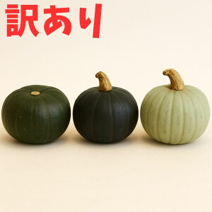yӂ邳Ɣ[Łzy󂠂z kC ڂ 󂠂 _[Nz[X E ƂĂ E Zӂ 3 × 1 /AOoCI [BEAC014]