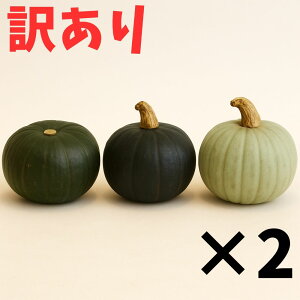 yӂ邳Ɣ[Łzy󂠂z kC ڂ 󂠂 _[Nz[X E ƂĂ E Zӂ 3 × 2 /AOoCI [BEAC015]