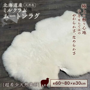 yӂ邳Ɣ[Łz~N [g 60`80cm s񒬁tyΓc߂rqz O r Ђ r VRf  CeA }bg O~ イ ybg Ԃ xr[ Ԃp 