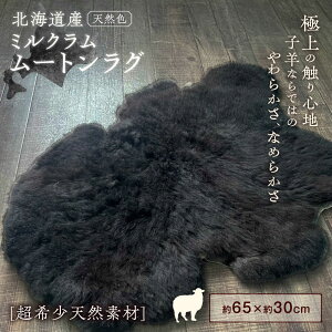 yӂ邳Ɣ[Łz ~N [g i VR ubN j  65cm s񒬁tyΓc߂rqz O r Ђ r VRf  CeA }bg O~ イ ybg Ԃ