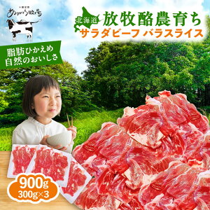 yӂ邳Ɣ[ŁzT_r[t o XCX 300g×3pbNs񒬁ty肪Ƃqz  XCX XCX T_ r[t  ~[g  ē  J[ BBQ wV[ Mtg 