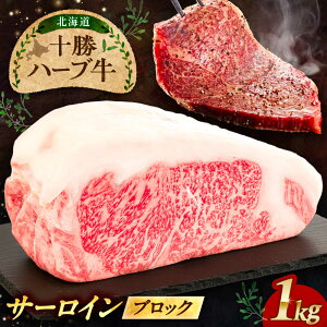 yӂ邳Ɣ[ŁzkC \ n[u T[C ubN 1kg /ЃmxYHi [BEAQ064]