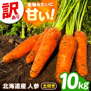 yӂ邳Ɣ[Łzy󂠂z kC ɂ񂶂 10kg iytj/a_ [BEBA006]