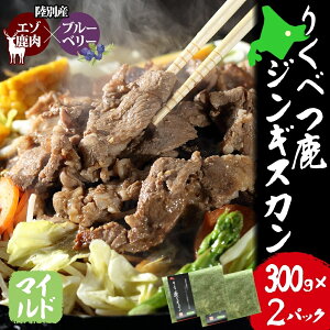 yӂ邳Ɣ[Łz肭ׂ WMXJ }Ch 300g×2 pbN 600g G]VJ G] G]VJ ڈΎ u[x[ \YC _ W[V[ {iI  BBQ ʒ 