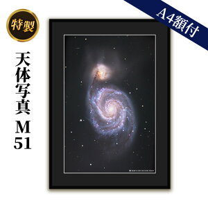yӂ邳Ɣ[Łz V̎ʐ^(A4zt)M51 q