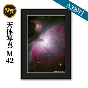 yӂ邳Ɣ[Łz V̎ʐ^(A3zt)M42 CeA G pi