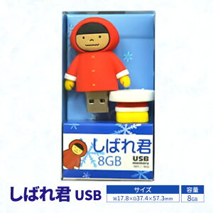 yӂ邳Ɣ[Łz΂NUSB G pi [