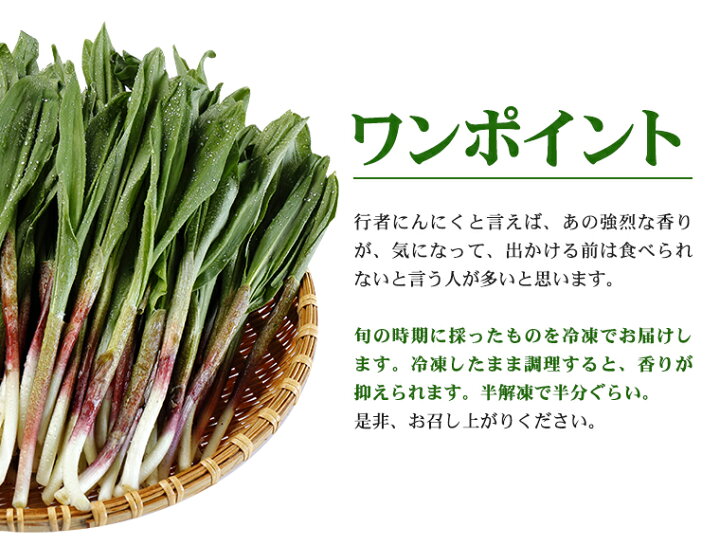 楽天市場 ふるさと納税 冷凍天然行者にんにく500g 旬の時期に収穫し冷凍 北海道浦幌町