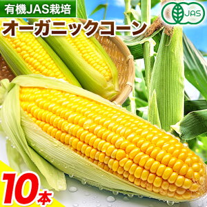 yӂ邳Ɣ[ŁzL@JAS͔| Ƃ낱 I[KjbN R[ 10{ ɏt@[s2026N8{-9{oׁtkC \ Yy  Ƃ낱 XC[gR[ L@ VN 