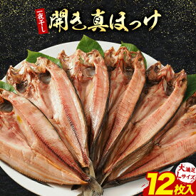 【ふるさと納税】北海道産 真ほっけ開き 一夜干し 2枚 4枚 6枚 12枚セット 肉厚 脂のり抜群 特大サイズ 手づくり 国産 浦幌町厚内 焼き魚 干物 冷凍 送料無料 山本商店