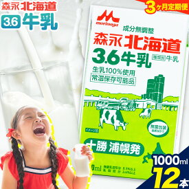 【ふるさと納税】【定期便3回】牛乳 北海道 森永北海道3.6牛乳 常温長期保存 大容量 1000ml×12本入り 1L 12L 十勝森永浦幌乳業 北海道 浦幌町 送料無料 乳 3.6 牛乳 ミルク 牛乳パック 濃厚 浦幌工場直送 常温保存 森永 十勝 お取り寄せ
