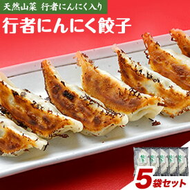 【ふるさと納税】行者にんにく餃子（220g×5パック）《30日以内に出荷予定(土日祝除く)》北海道 浦幌町 ユーエム ニンニク 行者にんにく ご当地餃子 餃子 ぎょうざ ギョーザ
