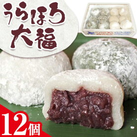 【ふるさと納税】十勝 うらほろ大福 12個入り 白大福 草大福 道の駅うらほろ 直売会 《60日以内に出荷予定(土日祝除く)》北海道 浦幌町 大福 浦幌町産 小豆 冷凍 お菓子 スイーツ 餅