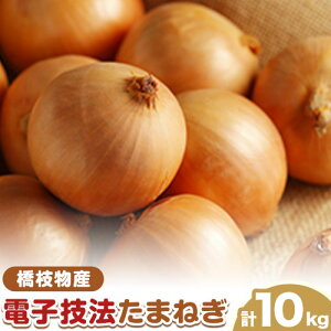 yӂ邳Ɣ[Łz\ dqZ@͔|܂˂ 10kg  s2025N10{珇oׁt}Y kC Yy