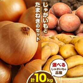【ふるさと納税】じゃがいも＆たまねぎ計10kg 選べる 品種 （インカのめざめ キタアカリ メークイン レッドムーン ひとみ ゆめいころ ルージュ）2026年予約 橋枝物産 野菜 根菜 常備菜 料理 離乳食 北海道 十勝 浦幌町 産直 送料無料 《10月中旬より順次出荷》