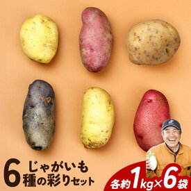 【ふるさと納税】じゃがいも6種の彩りセット 1kg × 6袋 元木農場《9月中旬頃から出荷予定(土日祝除く)》北海道 浦幌町 じゃがいも メークイン キタアカリ 男爵 シャドークイーン ノーザンルビー レッドムーン