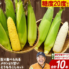 【ふるさと納税】【2026年先行予約】選べる とうもろこし2種セット 合計10本 おひさまコーン ロイシーコーン 元木農場《8月下旬-9月中旬より発送(土日祝除く)》 北海道十勝浦幌町産 生でも食べられる糖度20度以上 朝もぎたてとうもろこし 旬の時期にお届け 朝採り