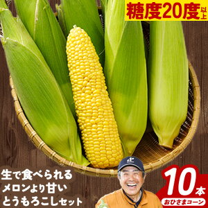 yӂ邳Ɣ[ŁzƂ낱10{ Ђ܃R[ ؔ_s8{-9{蔭(yj) kC \ YyY łHׂ铜x20xȏ ĂƂ낱 ̂ {