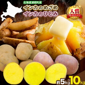 【ふるさと納税】インカのめざめ インカのひとみ 選べる 5kg 10kg じゃがいも 飯山農場《9月中旬-3月上旬頃出荷予定》芋 ジャガイモ 野菜 送料無料 北海道 浦幌町 楽天スーパーSALE