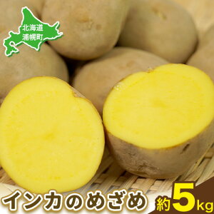 yӂ邳Ɣ[ŁzCĴ߂ CĴЂƂ Iׂ 5kg 10kg Ⴊ юR_s30ȓɏoח\(yj)t WKC   kC Yy