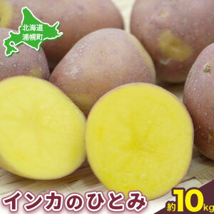 yӂ邳Ɣ[ŁzCĴ߂ CĴЂƂ Iׂ 5kg 10kg Ⴊ юR_s30ȓɏoח\(yj)t WKC   kC Yy