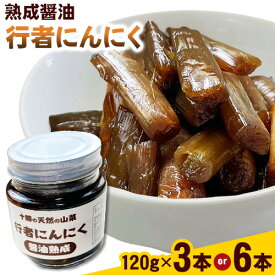 【ふるさと納税】行者にんにく 醤油漬け120g×3本セット or 6本セット 十勝 天然の山菜 ノースプロダクション《30日以内に順次出荷》 北海道 浦幌町 山菜 希少種 者ニンニク 幻の山菜 山菜 山の幸 野菜 疲労回復 健康
