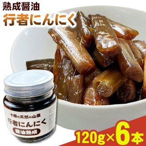 yӂ邳Ɣ[Łzs҂ɂɂ ݖЂ120g×3{Zbg or 6{Zbg \ VR̎R m[Xv_NVs30ȓɏoׁt kC Yy R 󏭎 ҃jjN ̎R R R