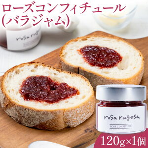 yӂ邳Ɣ[ŁzTEST [Y RtB`[ o W 120gs30ȓɏoח\(yj)tciokay rosa rugosa KN [Y n}iX Hi HHi kC Yy