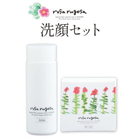【ふるさと納税】ロサ・ルゴサ 洗顔セット（化粧水 100ml×1本・洗顔石けん 100g×1個）《2025年1月下旬頃から順次発送》株式会社ciokay 北海道 浦幌町 美容 バラ ハマナス 保湿 化粧品