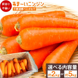 【ふるさと納税】甘～いニンジン 十勝 浦幌べにかなで 【訳あり・不揃い】 約2kg 10～20本 or 約5kg 40～50本 農事組合法人レギューム《11月上旬から4月末頃出荷》北海道 浦幌町 人参 にんじん 安心 安全 野菜 お野菜 やさい 紅奏 シャキシャキ 甘い