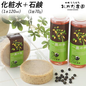 yӂ邳Ɣ[Łzꍕ̏ \ق남_RXZbgiϐ120ml×1{EΌ70g×1j