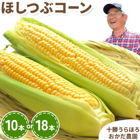 【ふるさと納税】 まぼろしの「ほしつぶコーン」10本 18本 ジャンボサイズ とうもろこし おかだ農園 北海道 浦幌町産 【7月末‐8月中旬頃出荷】 安心安全 こだわりの栽培 朝もぎたて 産地直送 朝採り スイートコーン