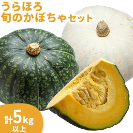 【ふるさと納税】かぼちゃ 選べる 計5kg 計10kg 九重栗かぼちゃ 白い九重栗かぼちゃ おかだ農園 《2026年9月中旬-11月上旬より順次出荷》北海道 浦幌町 安心安全こだわりの栽培 産地直送 南瓜 カボチャ 旬 北海道産 浦幌町産