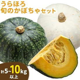 【ふるさと納税】かぼちゃ 選べる 計5kg 計10kg 九重栗かぼちゃ 白い九重栗かぼちゃ おかだ農園 《2026年9月中旬-11月上旬より順次出荷》北海道 浦幌町 安心安全こだわりの栽培 産地直送 南瓜 カボチャ 旬 北海道産 浦幌町産