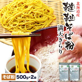 【ふるさと納税】北海道産韃靼そば粉「満天きらり」 500g×2袋 そばらぼ《30日以内に出荷予定(土日祝除く)》 北海道 浦幌町 保存食 常温 保管 お昼ご飯 昼食 夕食 夜食 麺