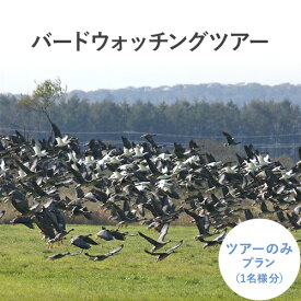 【ふるさと納税】十勝バードウォッチングツアー ツアーのみ 体験型返礼品