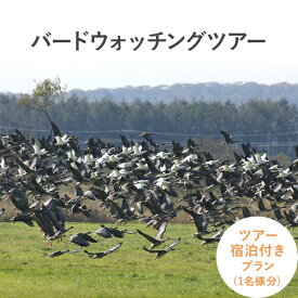 【ふるさと納税】十勝バードウォッチングツアー ツアー+お泊りセット 体験型返礼品