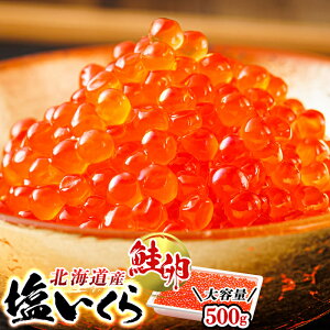 yӂ邳Ɣ[Łz kCY 牖Ђ 500g yIׂIz  Y  sio  ͂ kC H H Yi br01