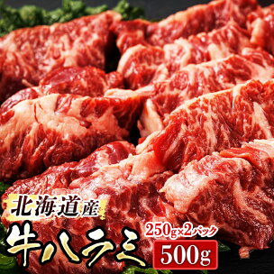 北海道産 牛ハラミ 計500g （250g×2パック） 職...