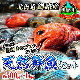 【ふるさと納税】 お魚の目利きのプロにお任せ！北海道産（国産） 天然 鮮魚 約500g～1kg（釧路の鮮魚セット） ワンストップ特例制度 オンライン