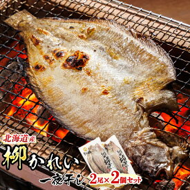 【ふるさと納税】【12/21まで年内お届け】柳かれい一夜干し 2枚×2個セット 【発送時期が選べる！】 すぐ 届く 個包装 ひもの ワンストップ特例制度 オンライン 魚介類 魚 魚介 干物 切り身 冷凍 パック 年内配送 年内発送 釧路町 釧路超 特産品 br02