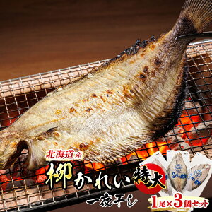 yӂ邳Ɣ[ŁzkCY  ꂢ 銱 1×3Zbg yIׂIz  ͂  Ђ  kC H Xgbvᐧx IC    